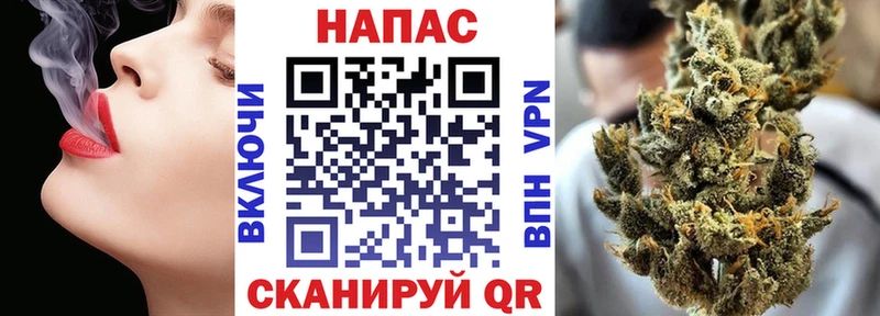Купить закладку Задонск Бошки Шишки  A-PVP  Амфетамин  МЕТАДОН  ГАШИШ  Мефедрон 