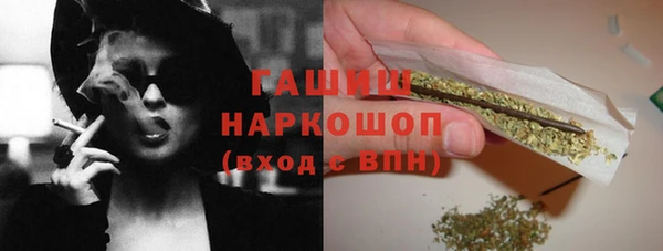 ГАЛЛЮЦИНОГЕННЫЕ ГРИБЫ Дмитриев