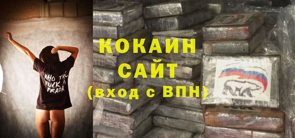 ГАЛЛЮЦИНОГЕННЫЕ ГРИБЫ Дмитриев