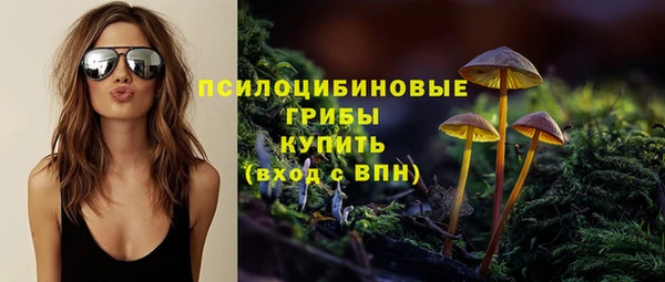 ГАЛЛЮЦИНОГЕННЫЕ ГРИБЫ Дмитриев